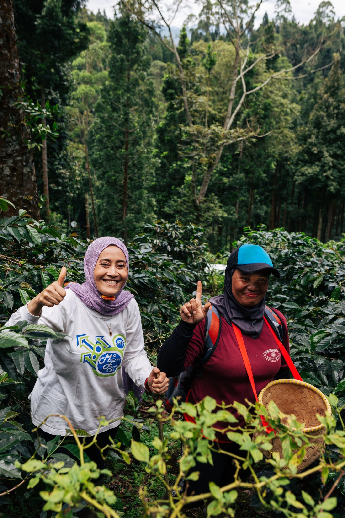 West Java Blue Batavia