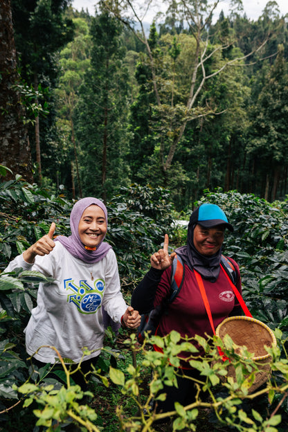 West Java Blue Batavia