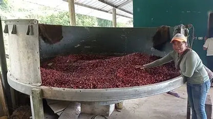 Colombia Sierra Nevada FTO Santa Marta